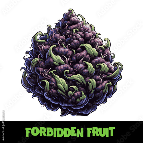 Vector Illustrated Forbidden Fruit Cannabis Bud Strain Cartoon
 (ID: 792135574)