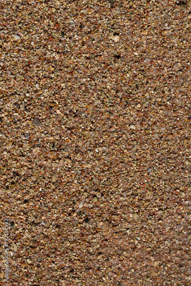 The coastline of the Red Sea. Sand, pebbles, corals, fossils. Background with a marine theme. The coastline of the Red Sea. Sand, pebbles, corals, fossils. Background with a marine theme.