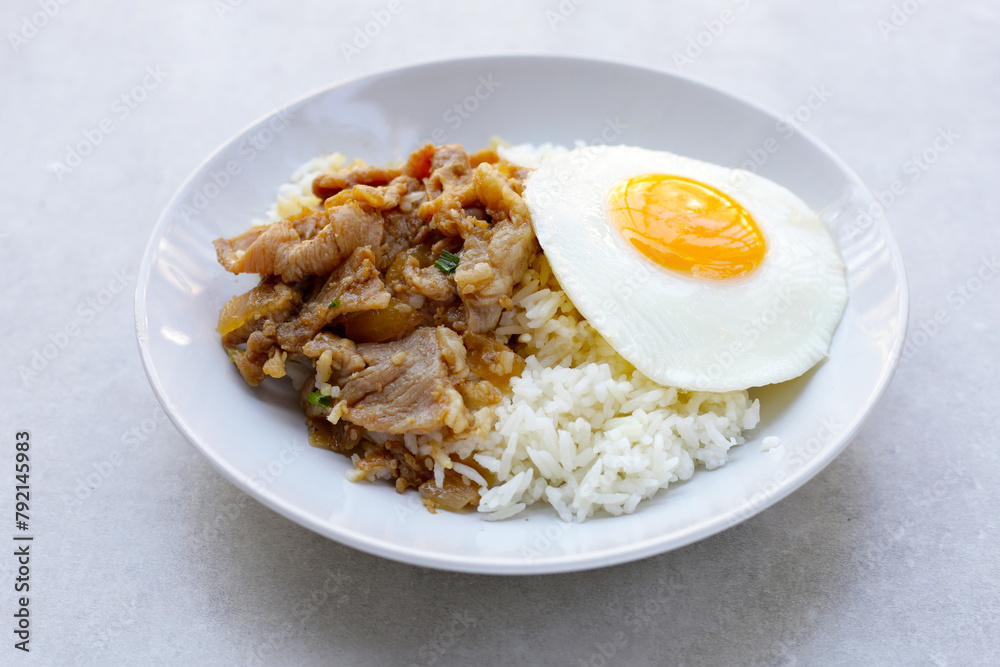 Rice with Pork sliced stir fried soy sauce with  fried egg