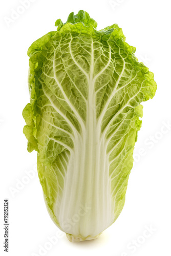 Fresh chinese cabbage