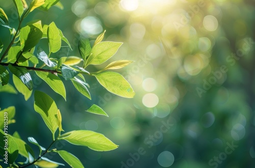 Green Leafed Tree Branch