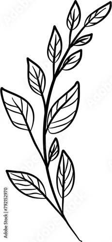 vintage set of hand drawn tree branches with leaves 