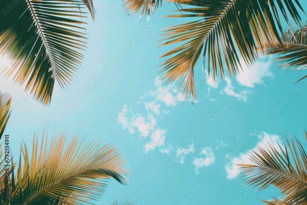 Blue Sky With Palm Trees