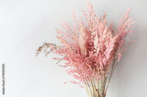 Pink Flowers Tied to a White Wall