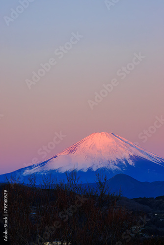 初日の出の朝焼けに赤く染まる美しい富士山（赤富士）。日本国神奈川県中郡二宮町、吾妻山公園にて。 2022年1月1日撮影。Beautiful Mt. Fuji that turns red in the morning glow of the new year's first sunrise (Akafuji).At Azumayama Park, Ninomiya-cho, Naka-