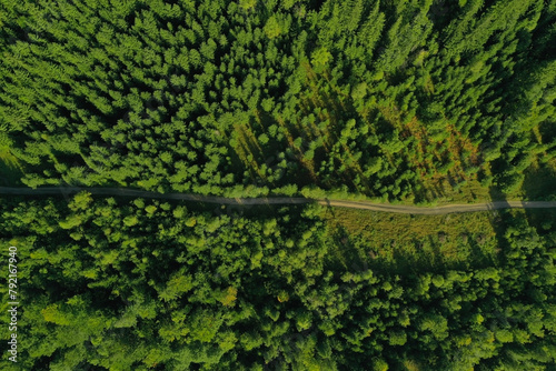 Aerial view of dirt road among green trees. Drone photography