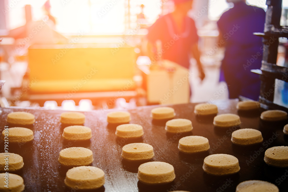 Obraz premium Baking production line. Raw uncooked cookies after forming going to oven by conveyor