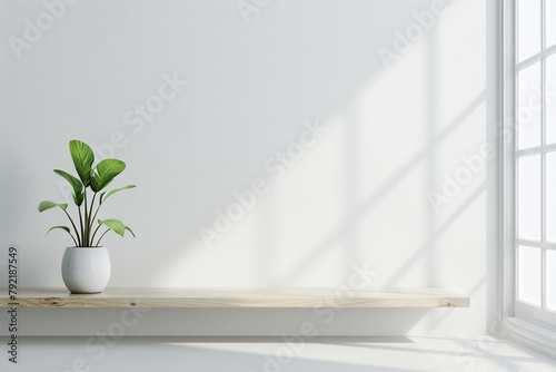 A pristine white room with a single potted plant on a sleek wooden shelf.