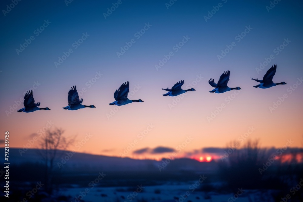 Migratory birds in the sky. Background with selective focus and copy space