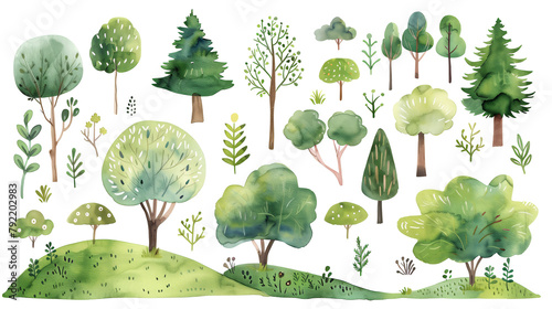 set of trees in the forest