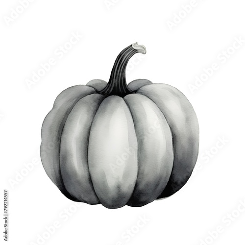 Pumpkin isolated on white background. Hand drawn watercolor illustration. photo