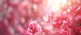架空のピンクの花の美しいボケのあるフレーム画像