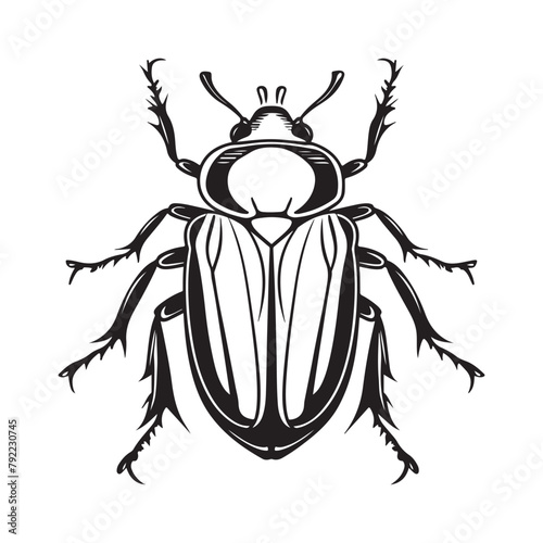 Beetle Vector Art, Icons, and Graphics illustration of a beetle