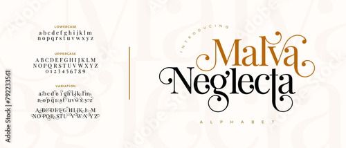 Malva elegant Font Uppercase Lowercase and Number. Classic Lettering Minimal Fashion Designs. Typography modern serif fonts regular decorative vintage concept. vector illustration