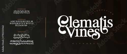 Vines elegant Font Uppercase Lowercase and Number. Classic Lettering Minimal Fashion Designs. Typography modern serif fonts regular decorative vintage concept. vector illustration