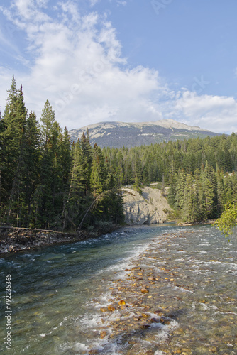 Maligne River from the Fifth Bridge