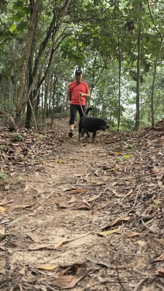 Man hiker and dog walking down a hill inside a tropical forest. Outdoor activity, summertime concept. Vertical video format. Man hiker and dog walking down a hill inside a tropical forest. Outdoor activity, summertime concept. Vertical video format.