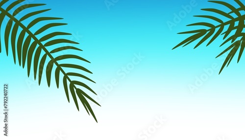 illustration of blue sky and tree leaves, palm trees, tropical theme, summer, background, copy space, banner