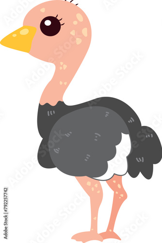 Cute ostrich