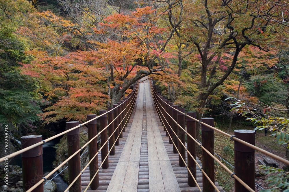 紅葉した花貫渓谷の吊り橋