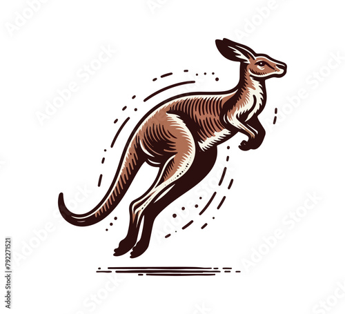 australian kangaroo vector hand drawn sketch