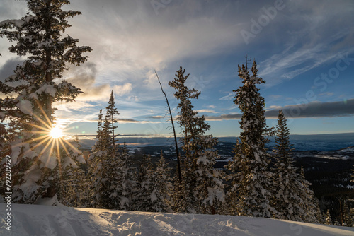 a snowy sunrise in the forest in winter