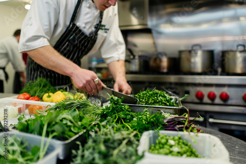 Chef in a kitchen preparing a meal with ingredients sourced from local farms, emphasis on fresh herbs and organic vegetables photo