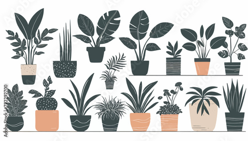 Iconic Representation of a Collection of Decorative Houseplants
