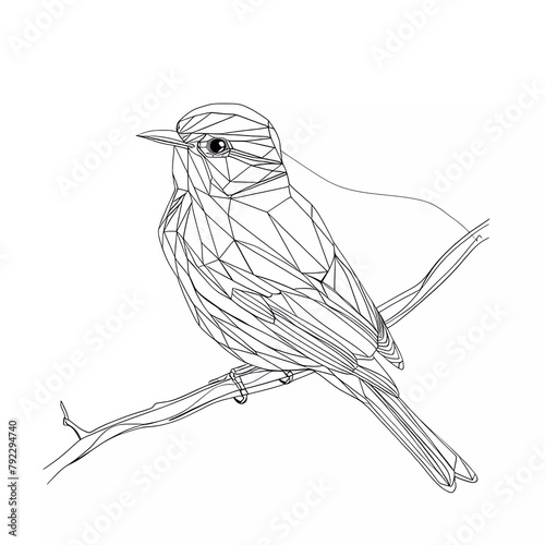 Continuous line art or One single Line Drawing of a honeybird picture vector illustration photo