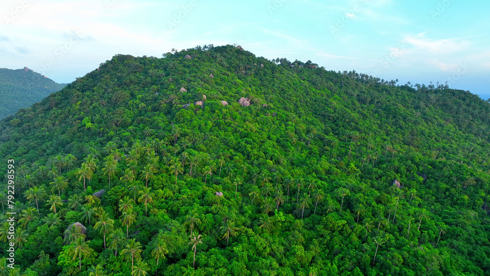 From above, a stunning tapestry of mountainous terrain, dense forests, swaying coconut trees, and intriguing rock formations. Koh Tao, Thailand. Aerial view. Nature background. 
