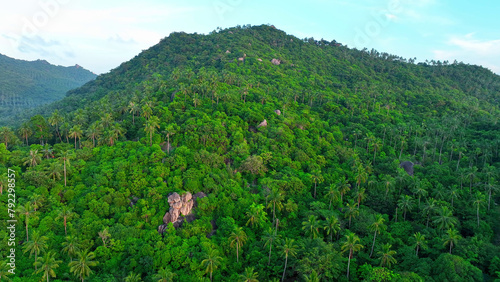 Foto From above, a stunning tapestry of mountainous terrain, dense forests, swaying coconut trees, and intriguing rock formations
