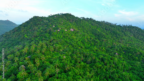 From above  a stunning tapestry of mountainous terrain  dense forests  swaying coconut trees  and intriguing rock formations. Koh Tao  Thailand. Aerial view. Nature background.  