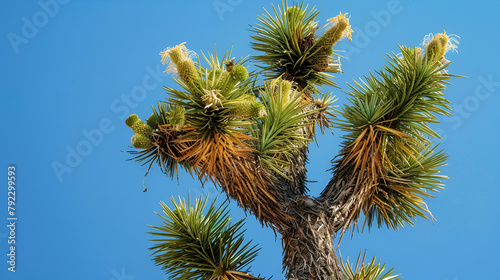 pine branches against sky generative ai