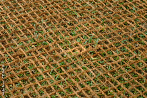aring sabut kelapa, coconut coir net. made of woven coconut coir rope. This net is useful for mine reclamation and reclamation of the environment damaged by humans.