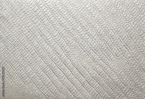 'background skin texture leather python scaly white'