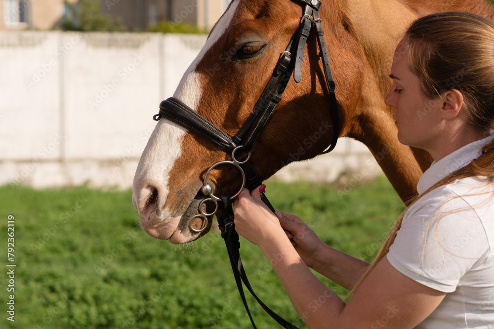 Obraz premium Woman attaching bridle to horse