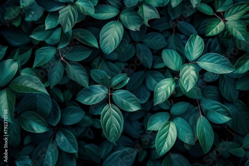 Nature of dark green leaf in garden. Natural green leaves plants using background cover page environment ecology or greenery wallpaper - generative ai