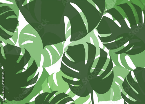 monstera leaves vector background pattern design