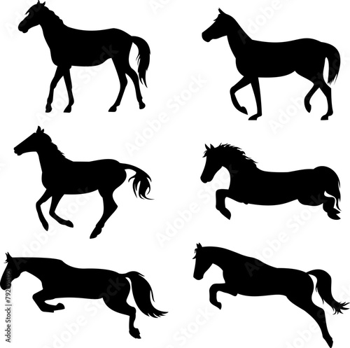 set of horse pose silhouette vector illustration