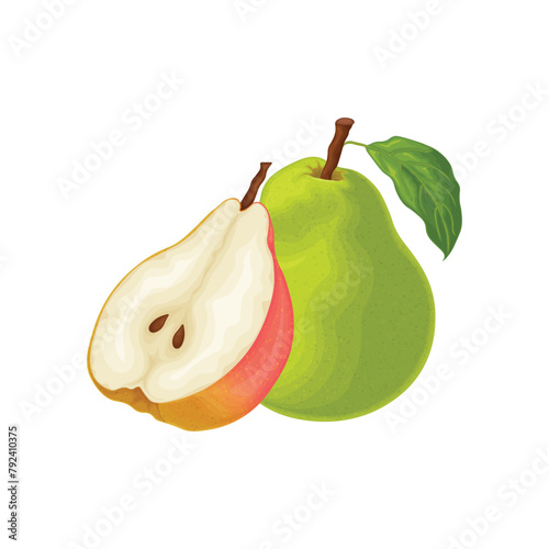Pear. An image of a pear slice. Fresh garden fruit. A ripe pear. Vector illustration isolated on a white background