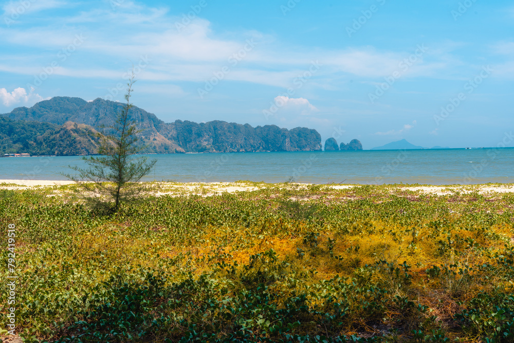 Obraz premium summer day sea beach scenery Grass and small islands at the sea