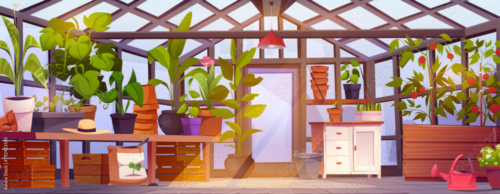 Naklejka premium Greenhouse garden interior with glass walls and door, furniture and equipment. Cartoon vector glasshouse with farm plants and horticulture seedlings, flowers and vegetables in pots, chest and tables.