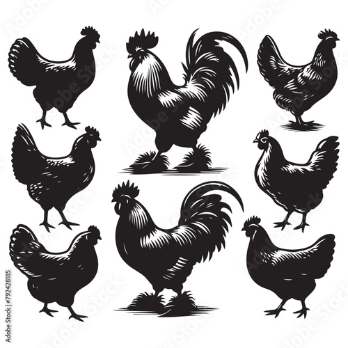 Silhouette set of chicken