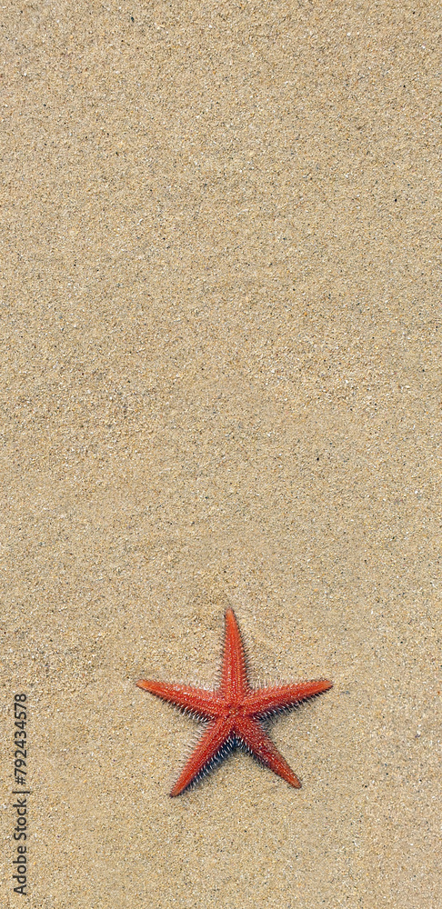 overhead shot starfish on sand at the beach with space for text overhead shot starfish on sand at the beach with space for text