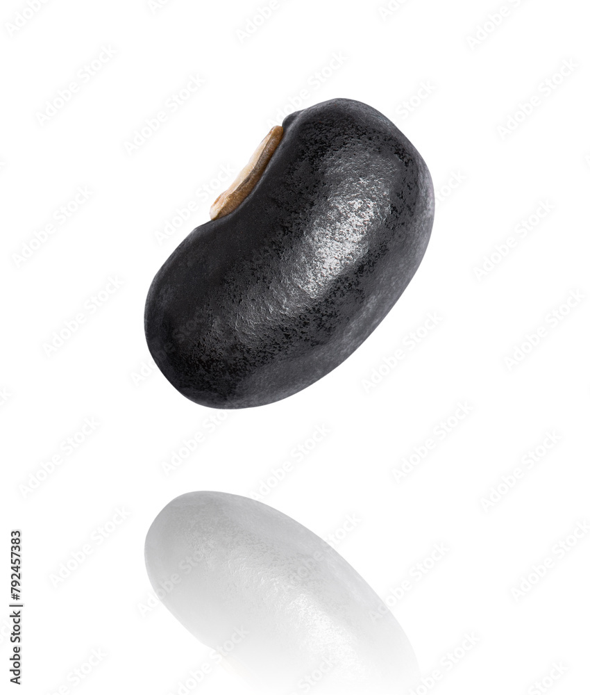 Black bean (Urad dal, black gram, vigna mungo) flying in the air isolated on white background. Black bean (Urad dal, black gram, vigna mungo) flying in the air isolated on white background.