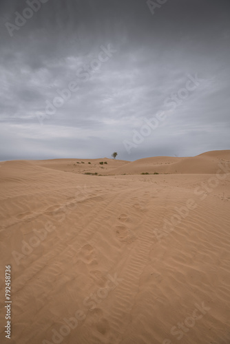 Desert sand  beautiful sand desert landscape at sunset  Inner Mongolia  China