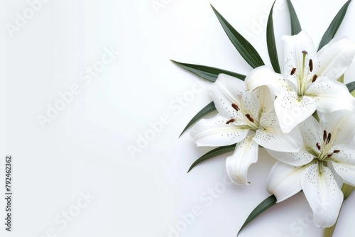 A dense cluster of white flowers rests on a white background, creating a serene and elegant aesthetic, perfect for memorial or remembrance designs