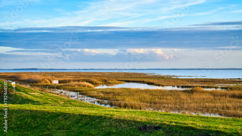 Light clouds in the sky on the Bodden in Zingst on the Baltic Sea peninsula. Bodden landscape with meadows. Nature reserve on the coast. Landscape photograph