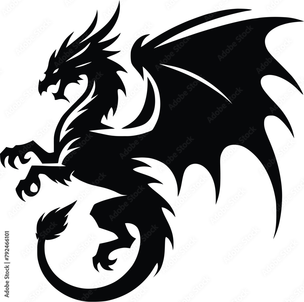 Fototapeta premium Chinese dragon silhouette