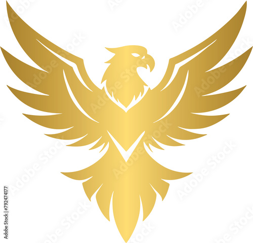 Golden eagle, gold eagle 